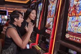 talibet login multi-camera live-dealer studio with professional setup and real cards